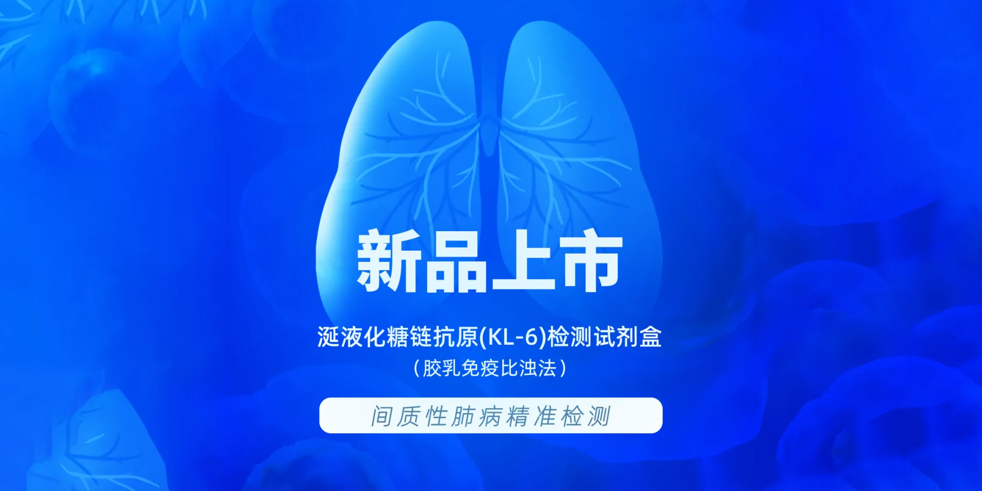 龙8-long8(国际)中国唯一官方网站